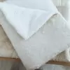 Couverture ÉVA